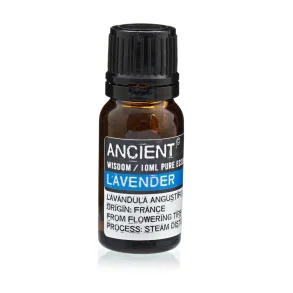 Ancient Wisdom - Lavendel